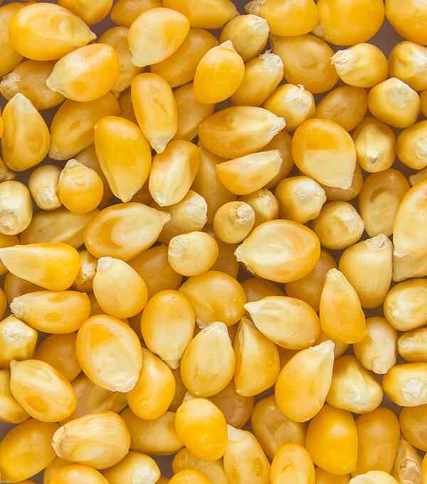 Agroscience Analysis